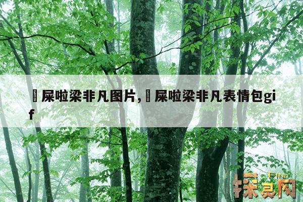 吔屎啦梁非凡图片,吔屎啦梁非凡倒放空耳