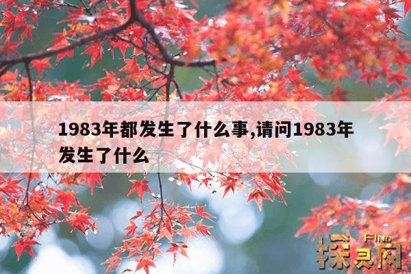 1983年都发生了什么事,1983年发生了啥