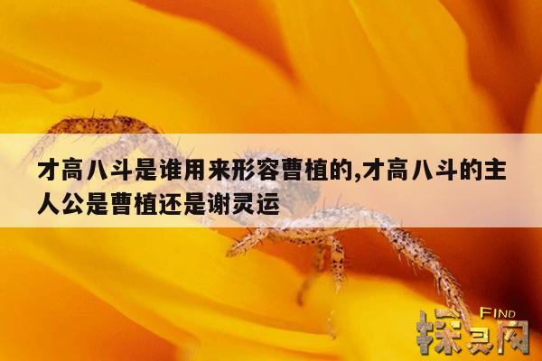 才高八斗是谁用来形容曹植的,才高八斗的主人公是曹植还是谢灵运