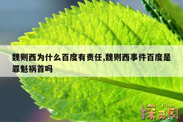 魏则西为什么百度有责任,魏则西事件和百度有什么关系