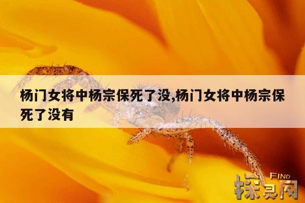 杨门女将中杨宗保死了没,杨门女将杨宗保第几集出现