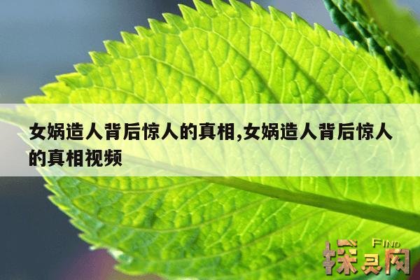 女娲造人背后惊人的真相,女娲造人背后惊人的真相是什么