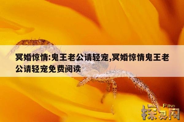 冥婚惊情:鬼王老公请轻宠,冥婚惊情鬼王老公请轻宠TXT