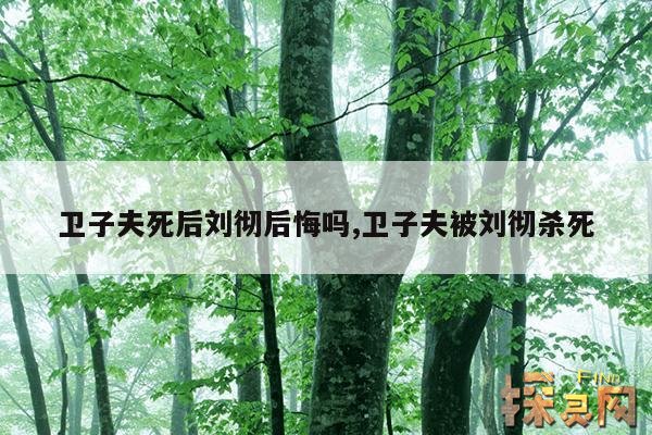 卫子夫死后刘彻后悔吗？,真实历史卫子夫的结局