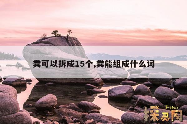 粪可以拆成15个,屎可以换成什么字