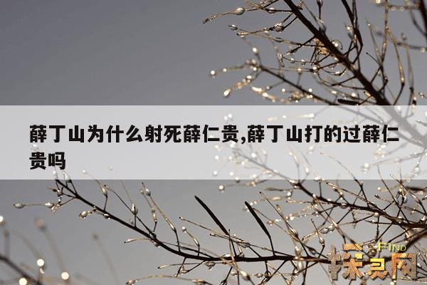 薛丁山为什么射死薛仁贵,薛丁山射死薛仁贵因果