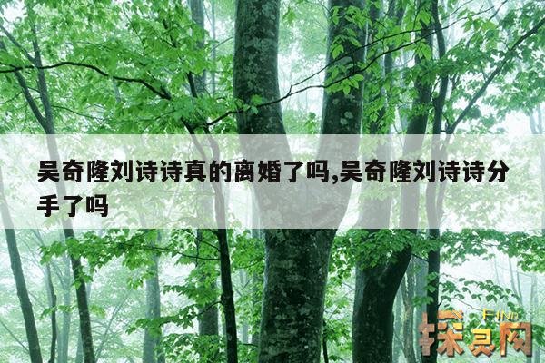 吴奇隆刘诗诗真的离婚了吗？,吴奇隆刘诗诗结果