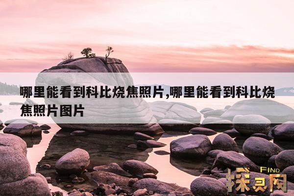 哪里能看到科比烧焦照片,科比被大火烧焦的人图片