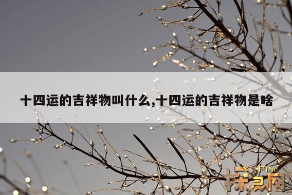 十四运的吉祥物叫什么,十四运的吉祥物是