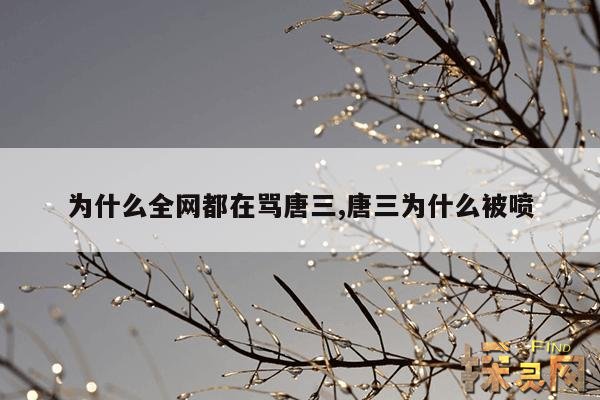 为什么全网都在骂唐三,斗罗大陆唐三为什么被骂