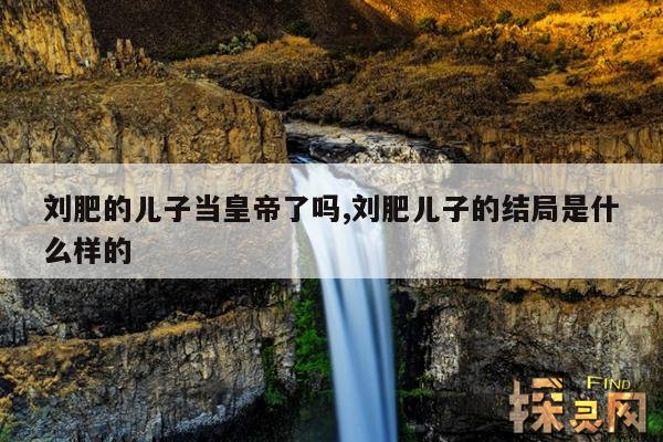 刘肥的儿子当皇帝了吗？,刘肥的儿子刘襄