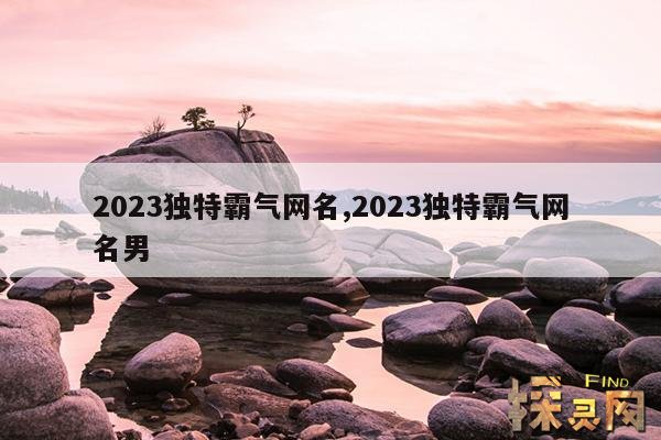 2023独特霸气网名,2023独特霸气网名繁体字