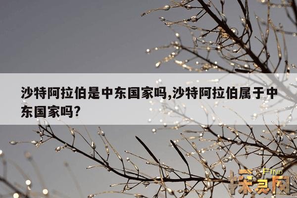 沙特阿拉伯是中东国家吗？,沙特阿拉伯是中亚吗？