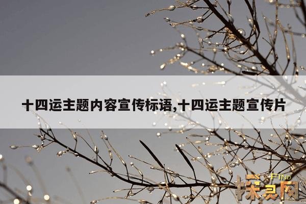 十四运主题内容宣传标语,十四运宣传文字