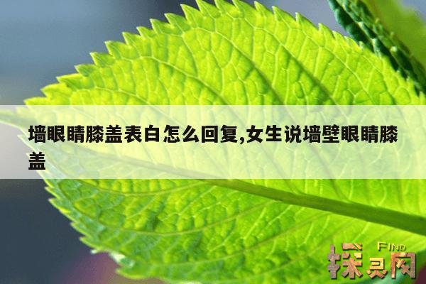 墙眼睛膝盖表白怎么回复,女生说墙壁眼睛膝盖