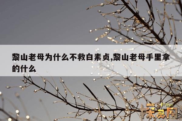 黎山老母为什么不救白素贞,黎山老母和白蛇