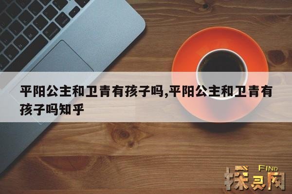 平阳公主和卫青有孩子吗？,卫青三个儿子的结局