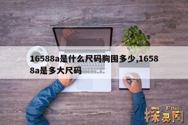 16588a是什么尺码胸围多少,16588a胸围是多大的