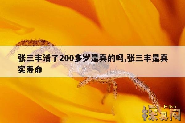 张三丰活了200多岁是真的吗？,张三丰活到多少