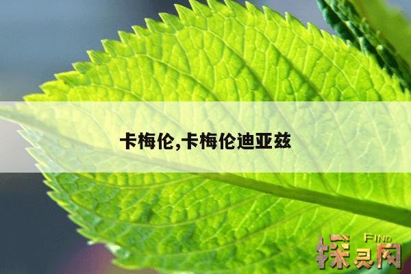 卡梅伦,卡梅伦莫纳汗