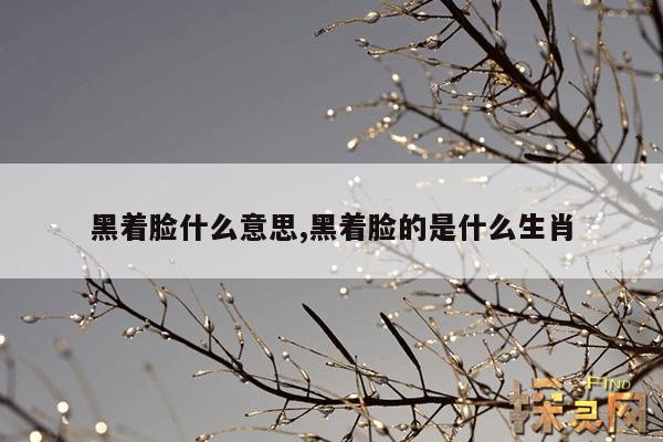 黑着脸什么意思,黑脸什么意思表情包