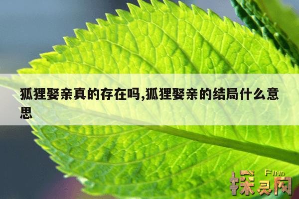 狐狸娶亲真的存在吗？,狐狸娶亲为什么要一步三回头