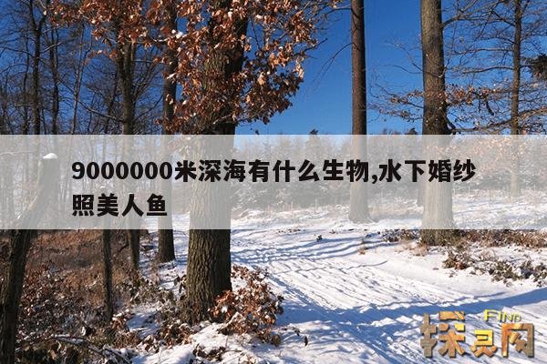 9000000米深海有什么生物,僵尸蓝鲸