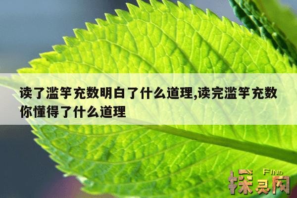 读了滥竽充数明白了什么道理,读了滥竽充数这个故事你的收获是什么用一两句话写下来