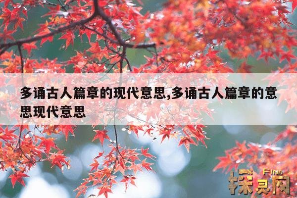 多诵古人篇章的现代意思,多诵古人篇章翻译成现代文