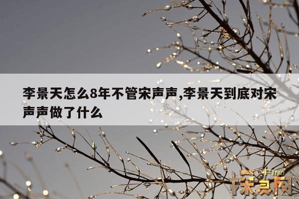 李景天怎么8年不管宋声声,李景天对宋声声做什么