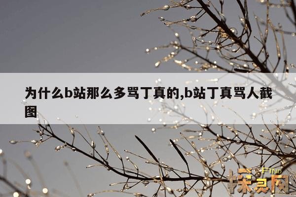 为什么b站那么多骂丁真的,b站为什么黑丁真