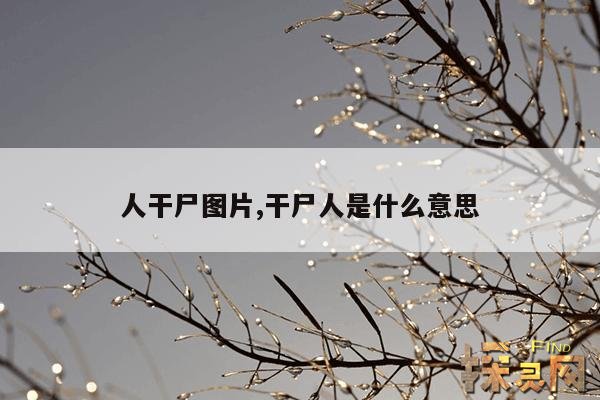 人干尸图片,干尸图片搞笑