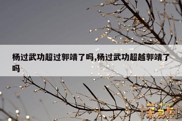 杨过武功超过郭靖了吗？,杨过为什么后期打不过金轮