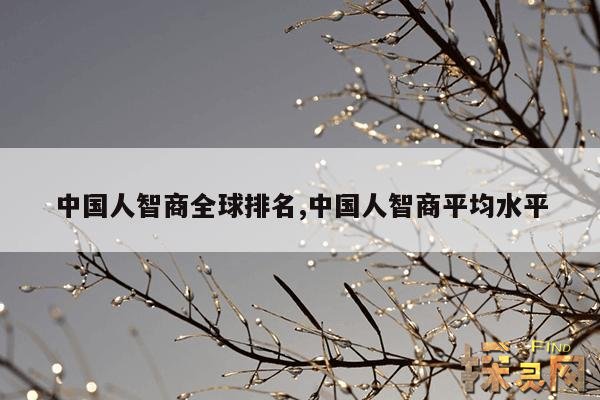 中国人智商全球排名,中国人智商平均水平