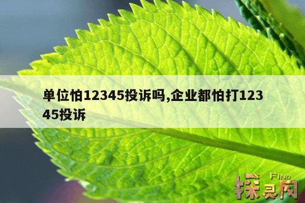 单位怕12345投诉吗？,企业怕12345吗？