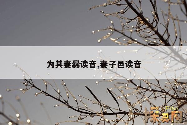 为其妻爨读音,谓其妻曰