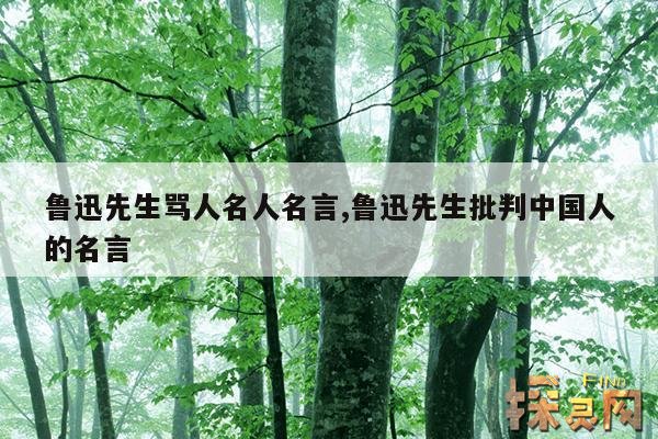 鲁迅先生骂人名人名言,鲁迅名言录关于骂人经典句