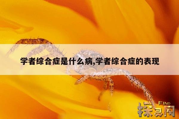 学者综合症是什么病,38、学者综合症 ...