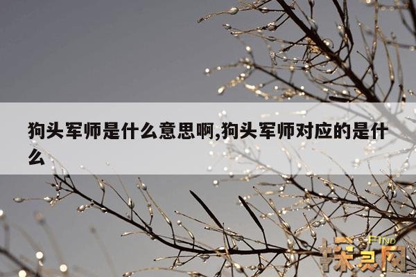 狗头军师是什么意思啊,狗头军师出处