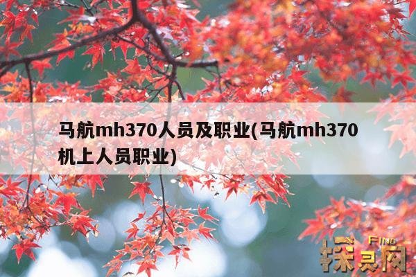 马航mh370人员及职业(马航mh370机上人员职业),马航mh370机组人员