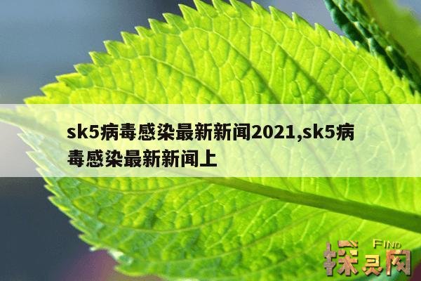 sk5病毒感染最新新闻2021,sk5病毒最新2021年6月9日