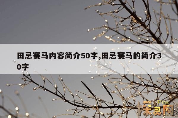 田忌赛马内容简介50字,田忌赛马简单概括50字