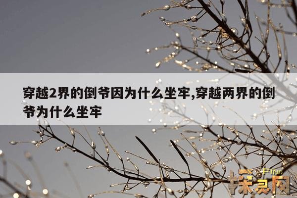 穿越2界的倒爷因为什么坐牢,穿越两界的倒爷作者那些真实内容入狱