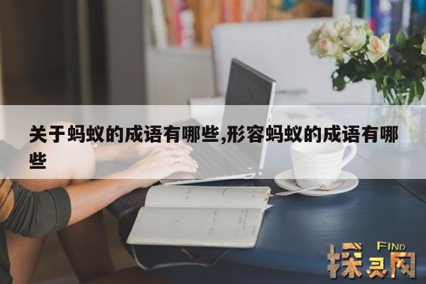 关于蚂蚁的成语有哪些,关于蚂蚁的成语有哪些词语