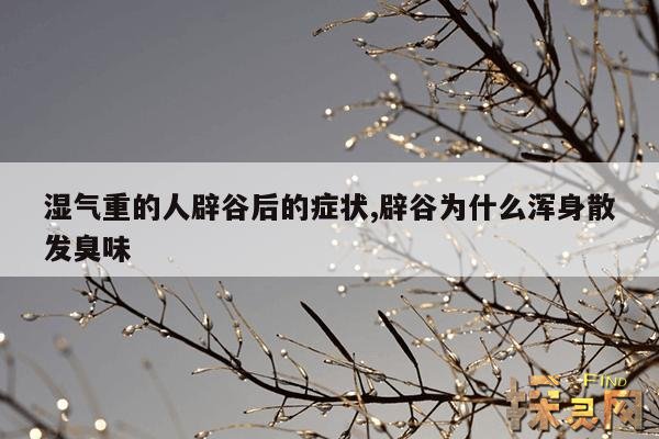 湿气重的人辟谷后的症状,为什么辟谷三天后就不饿了