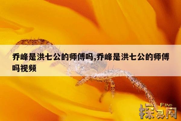 乔峰是洪七公的师傅吗？,乔峰是洪七公的师傅吗？知乎