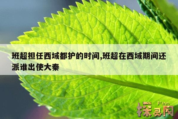 班超担任西域都护的时间,班超是第几任西域都护