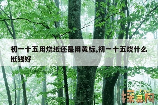 初一十五用烧纸还是用黄标,初一和十五烧纸可以吗？