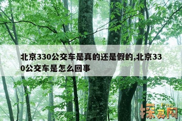 北京330公交车是真的还是假的,北京330公交车是怎么回事