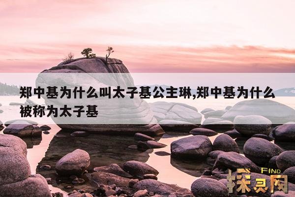 郑中基为什么叫太子基公主琳,太子基郑中基的歌